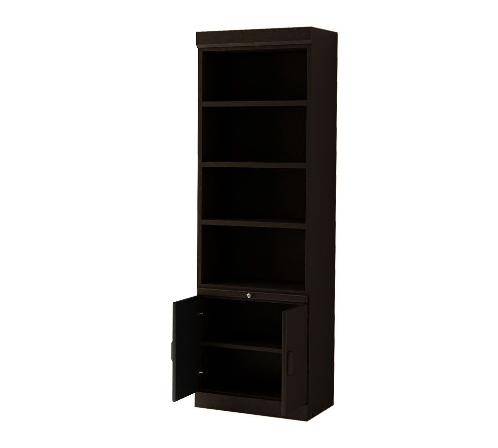 Black Bookcases With Doors With Best And Newest Bookcases With Doors On Bottom (View 10 of 15)
