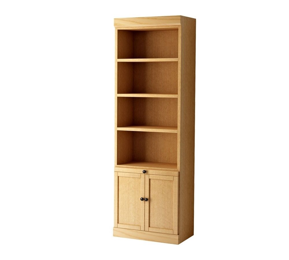 Bookcase With Bottom Cabinets – Qdpakq Regarding Widely Used Bookcases With Bottom Cabinets (View 8 of 15)