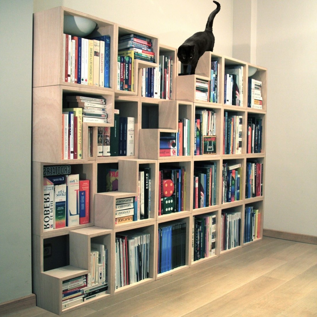 Cool Bookcases For Favorite Unique Sale Bookcase Picture Ideas Bookshelf Cool Bookcases Design (Photo 1 of 15)