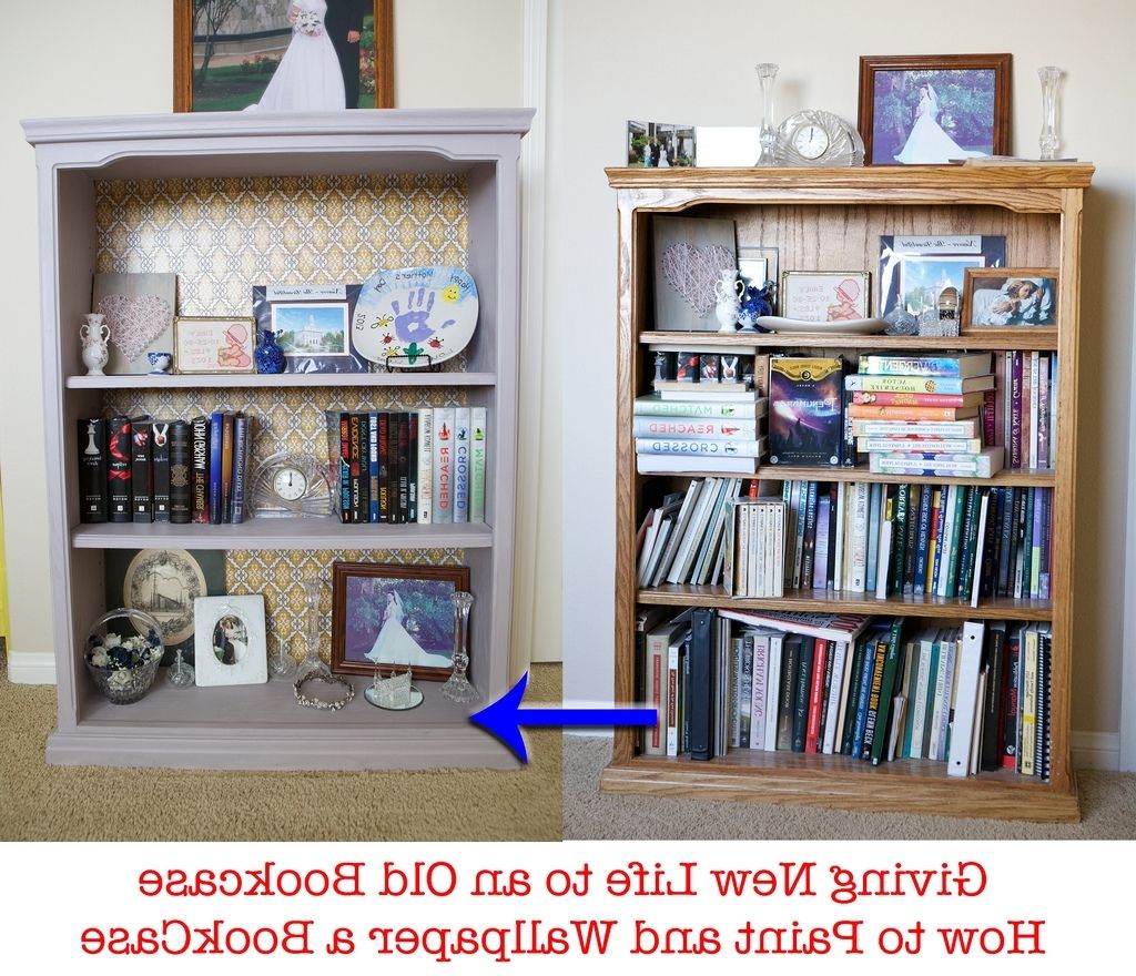 Emmy Mom–one Day At A Time: Painting A Book Case With Annie Sloan Throughout Widely Used Painted Bookcases (View 3 of 15)