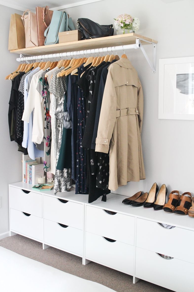 Featured Photo of 15 Inspirations Wardrobes Hangers Storages