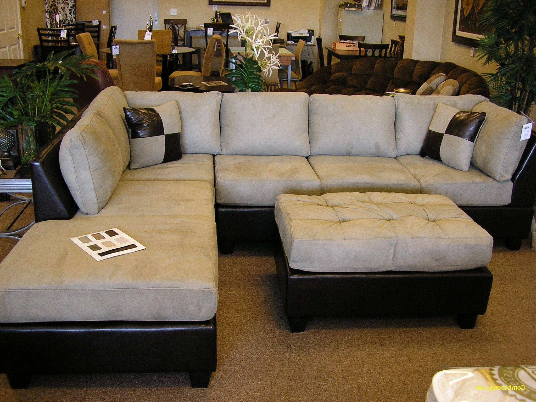 Best And Newest Sectionals With Chaise Lounge In Sectionals With Chaise Lounge New Amazing Sectional Sofa With (View 5 of 15)