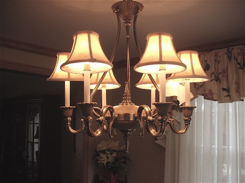 2018 Chandelier Light Shades Regarding Chandelier Candle Light Shades, Replacing Liners Only (View 1 of 10)