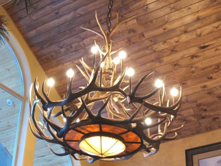 Antlers Chandeliers For Popular Antler Chandeliers For Sale (View 1 of 10)