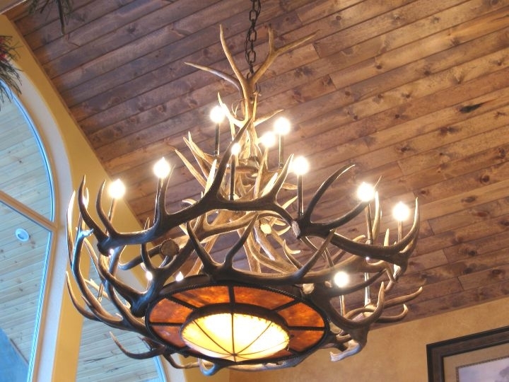 Featured Photo of 10 Best Antlers Chandeliers