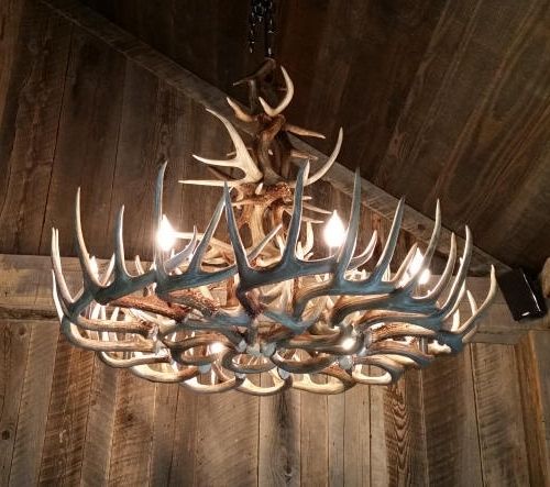 Antlers Chandeliers Intended For 2017 Unique Antler Chandeliers In Northwest Montana (View 6 of 10)