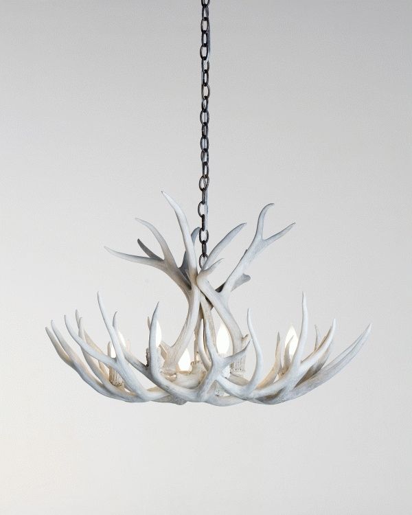 Fashionable White Antler Chandelier For Shed Antler Chandelier 8 Lights Sun Bleached (View 10 of 10)