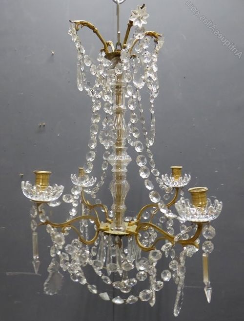 French Chandelier In Latest Antiques Atlas – Antique French Chandelier (View 4 of 10)