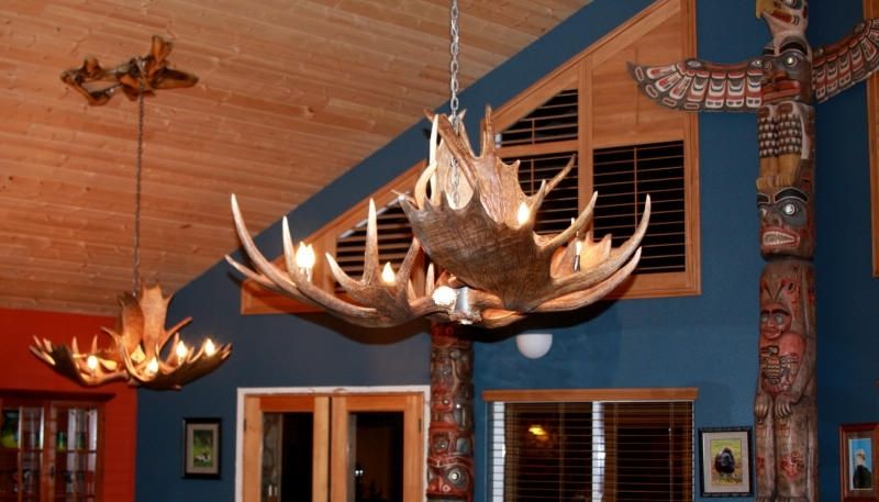 Moose Antler Chandeliers And Lighting In Most Recently Released Antlers Chandeliers (View 10 of 10)
