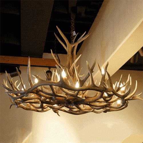Real Antler Chandeliers (View 3 of 10)