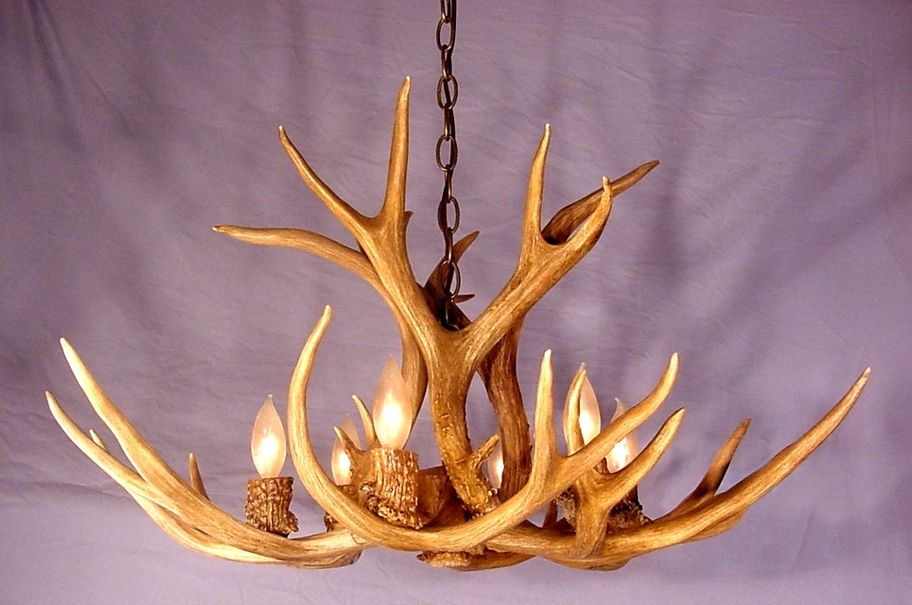 Stag Horn Chandelier Pertaining To Famous Deer Antler Chandelier (View 10 of 10)