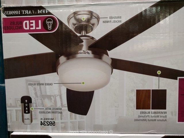 Hunter Avia Led Indoor Ceiling Fan Home And Furniture Ideas Within Recent Outdoor Ceiling Fans At Costco (View 1 of 15)