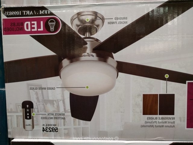 Hunter Avia Led Indoor Ceiling Fan Home And Furniture Ideas Within Recent Outdoor Ceiling Fans At Costco (Photo 1 of 15)