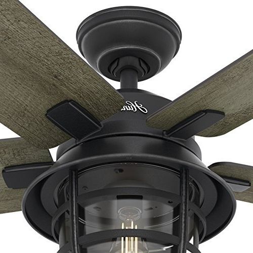 Hunter Fan 54" Weathered Zinc Outdoor Ceiling Fan With A Clear Glass Throughout Most Recent Hunter Outdoor Ceiling Fans With Lights And Remote (View 4 of 15)