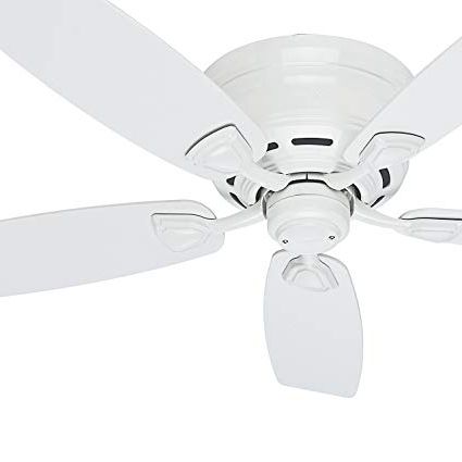 Outdoor Ceiling Fans With Plastic Blades Within Well Known Hinter Fan 48" Outdoor Hugger Ceiling Fan In White With 5 White (View 6 of 15)
