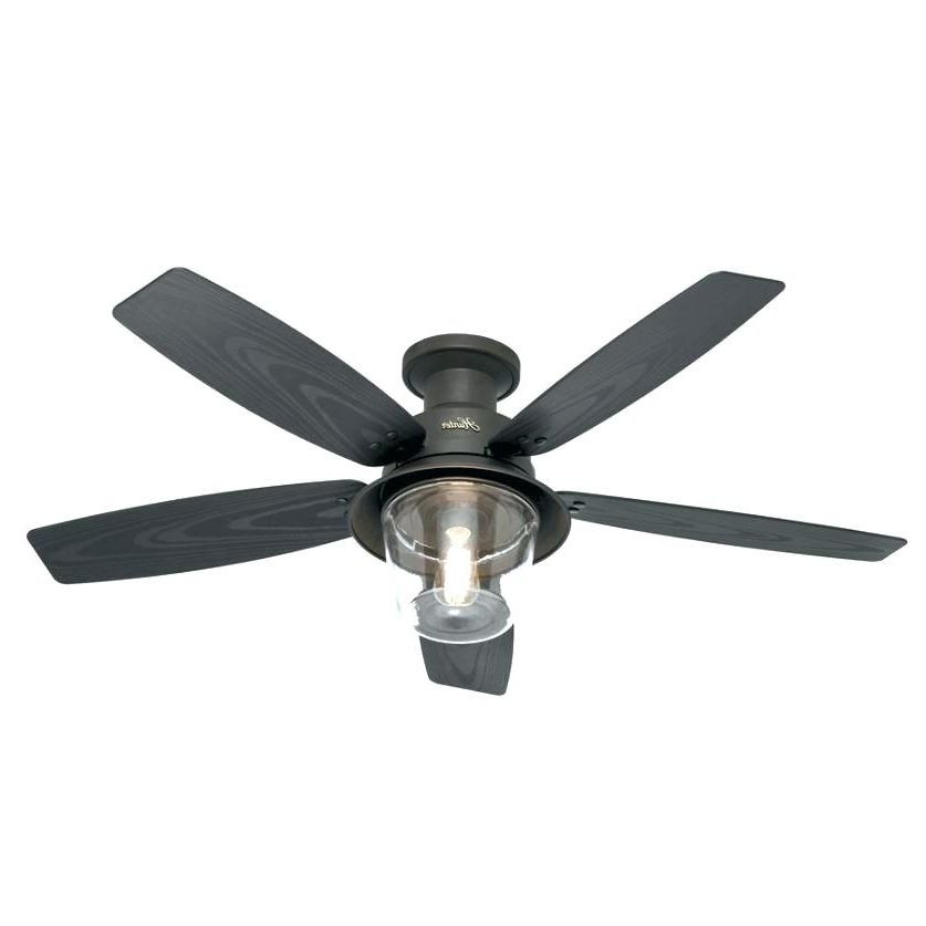 Unique Outdoor Ceiling Fans With Lights In Most Recently Released Photo 4 Of 6 Hunter In New Bronze Flush Mount Indoor Outdoor Ceiling (View 14 of 15)