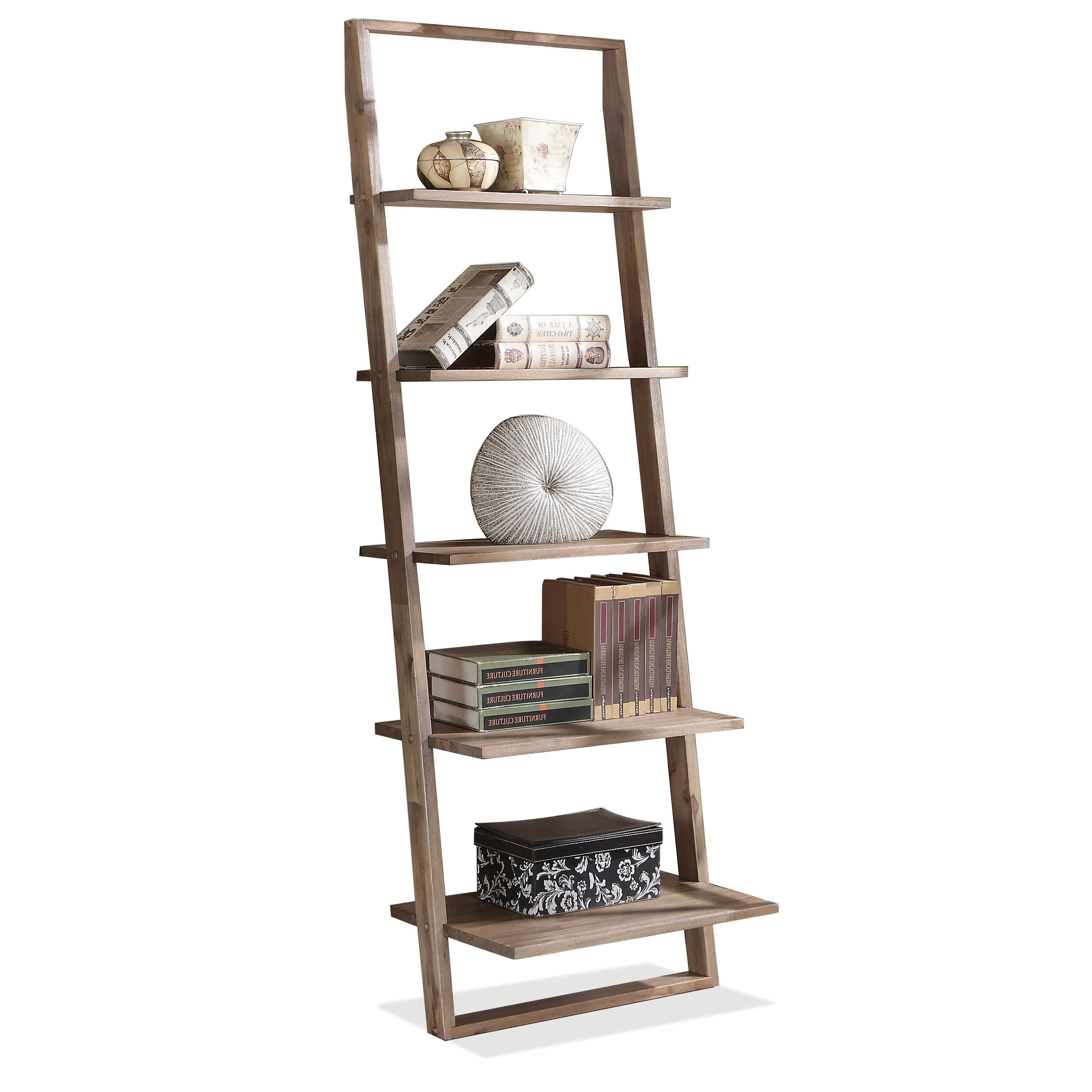 Noelle Ashlynn Ladder Bookcases For Popular Noelle Ashlynn Ladder Bookcase & Reviews (View 1 of 20)
