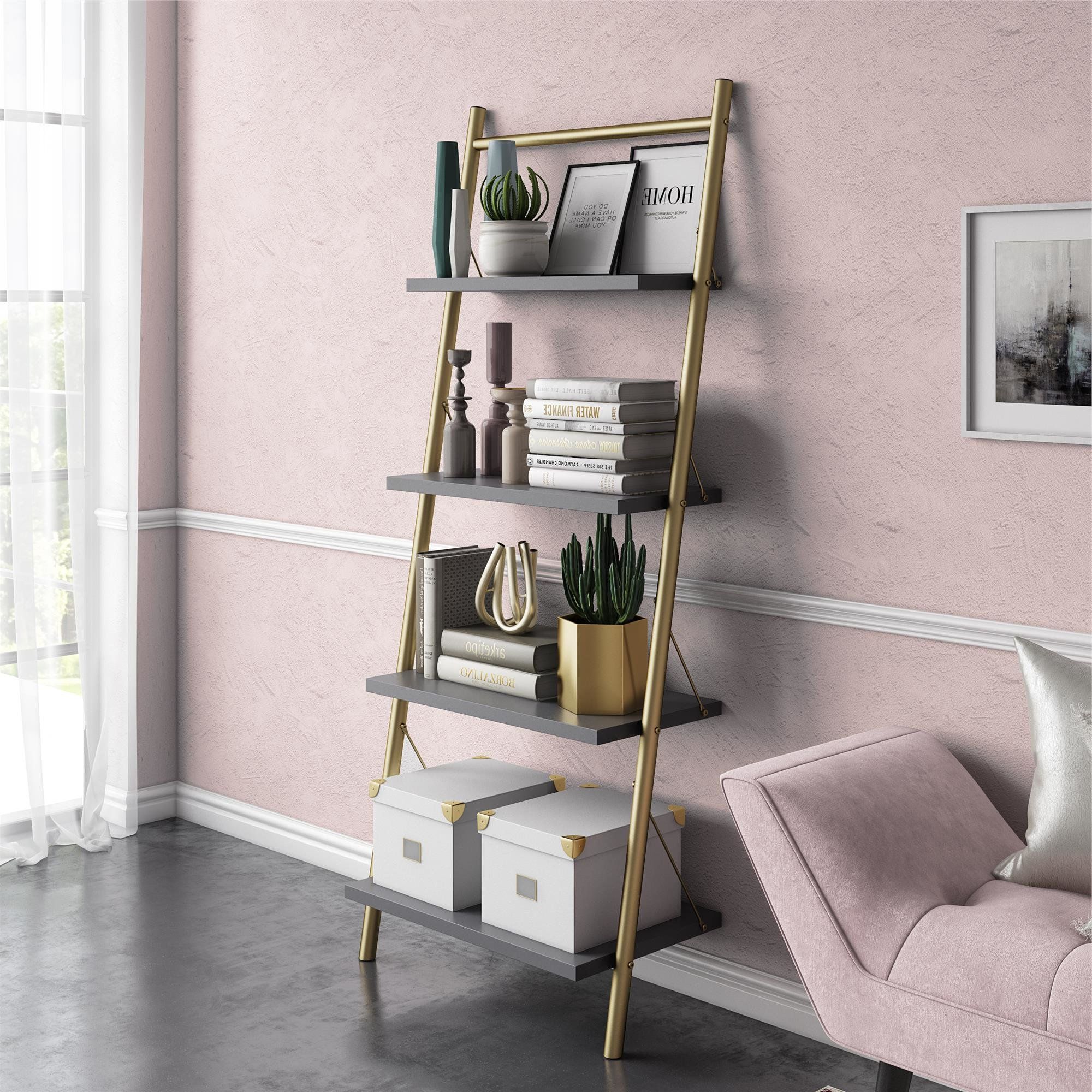 Nova Ladder Bookcase With Regard To Well Known Leandra Ladder Bookcases (View 11 of 20)