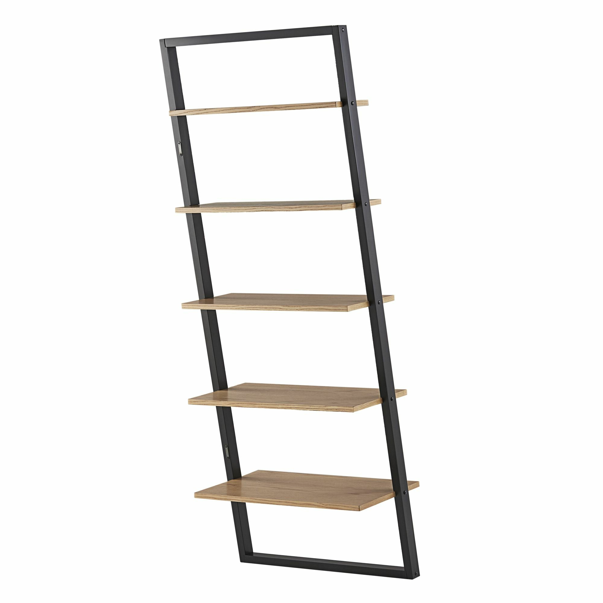 Riddleville Ladder Bookcases Regarding Newest Modern & Contemporary Leaning Bookcase (View 17 of 20)