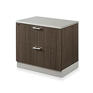 Drift 31.5'' Dining Tables With Regard To Latest Amazon : Esquire 31.5"w Two Drawer Lateral File (Photo 10 of 25)