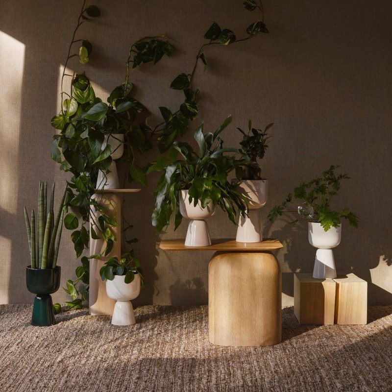 15 Best Indoor Plant Stands That Seriously Stand Out (View 9 of 10)