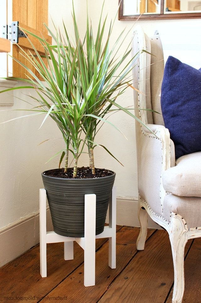 2017 Painted Wood Plant Stands For Diy Plant Stand With Free Plans – Jaime Costiglio (View 7 of 10)