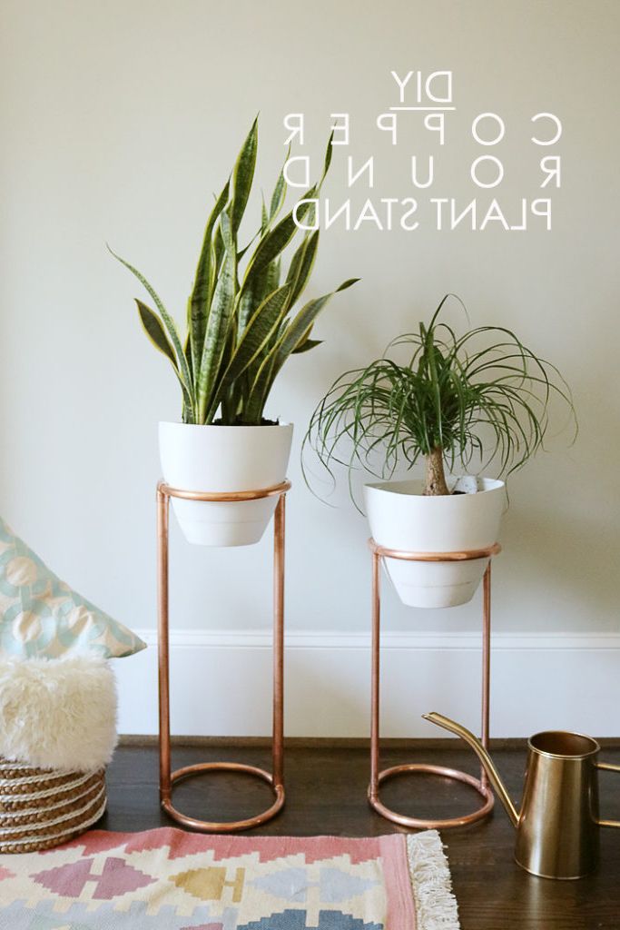A Lifestyle Design Blog Pertaining To Well Known Copper Plant Stands (View 1 of 10)