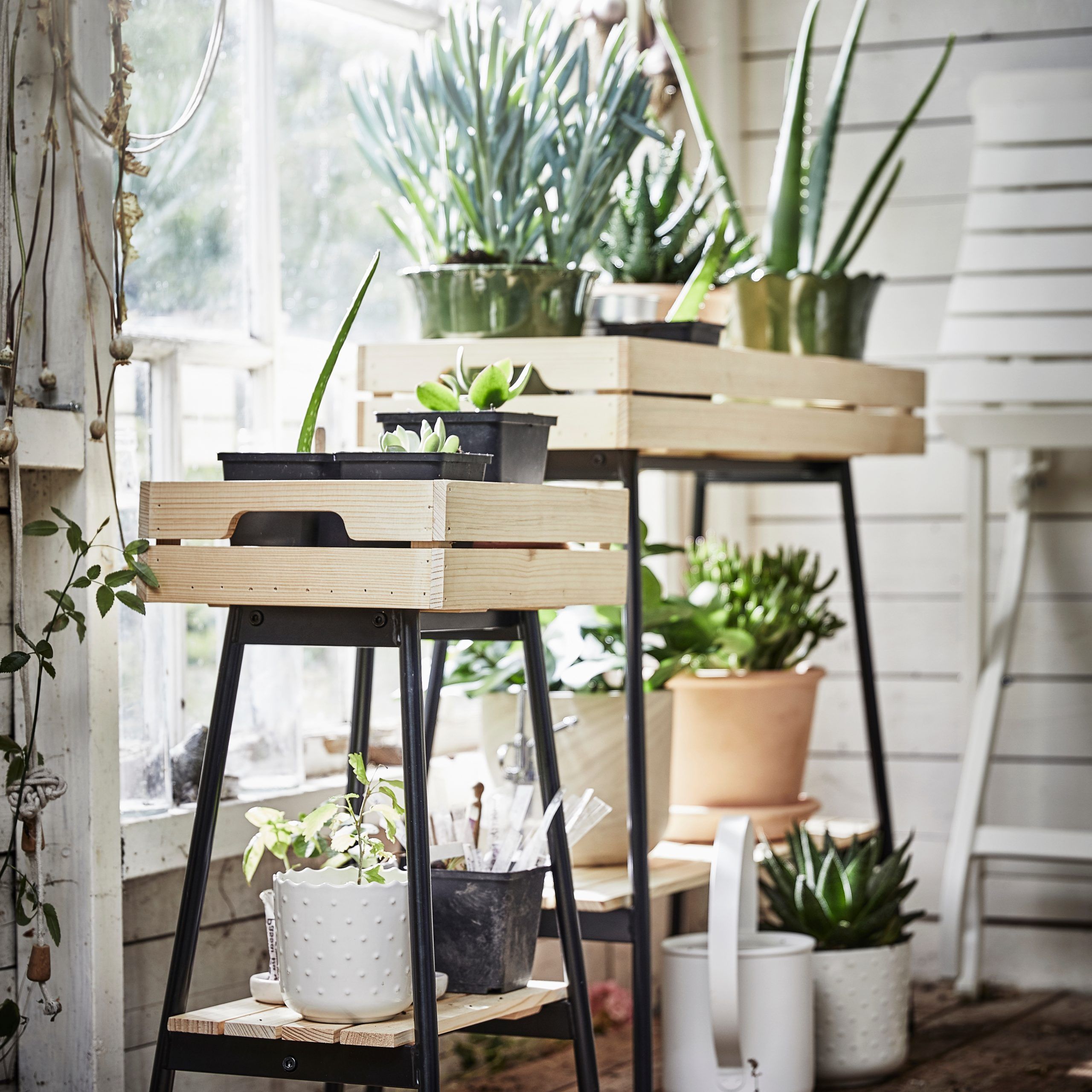 A Sturdy Plant Stand For Your Green Companions – Ikea In Favorite Green Plant Stands (View 4 of 10)
