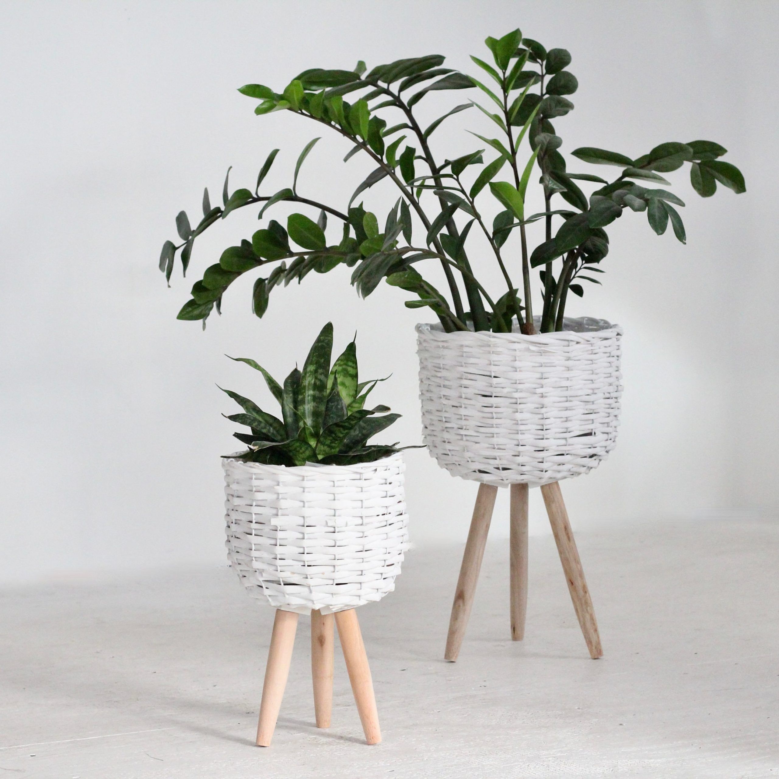 Ancient Grey Plant Stands In 2018 Gray Plant Stand – Etsy (Photo 8 of 10)