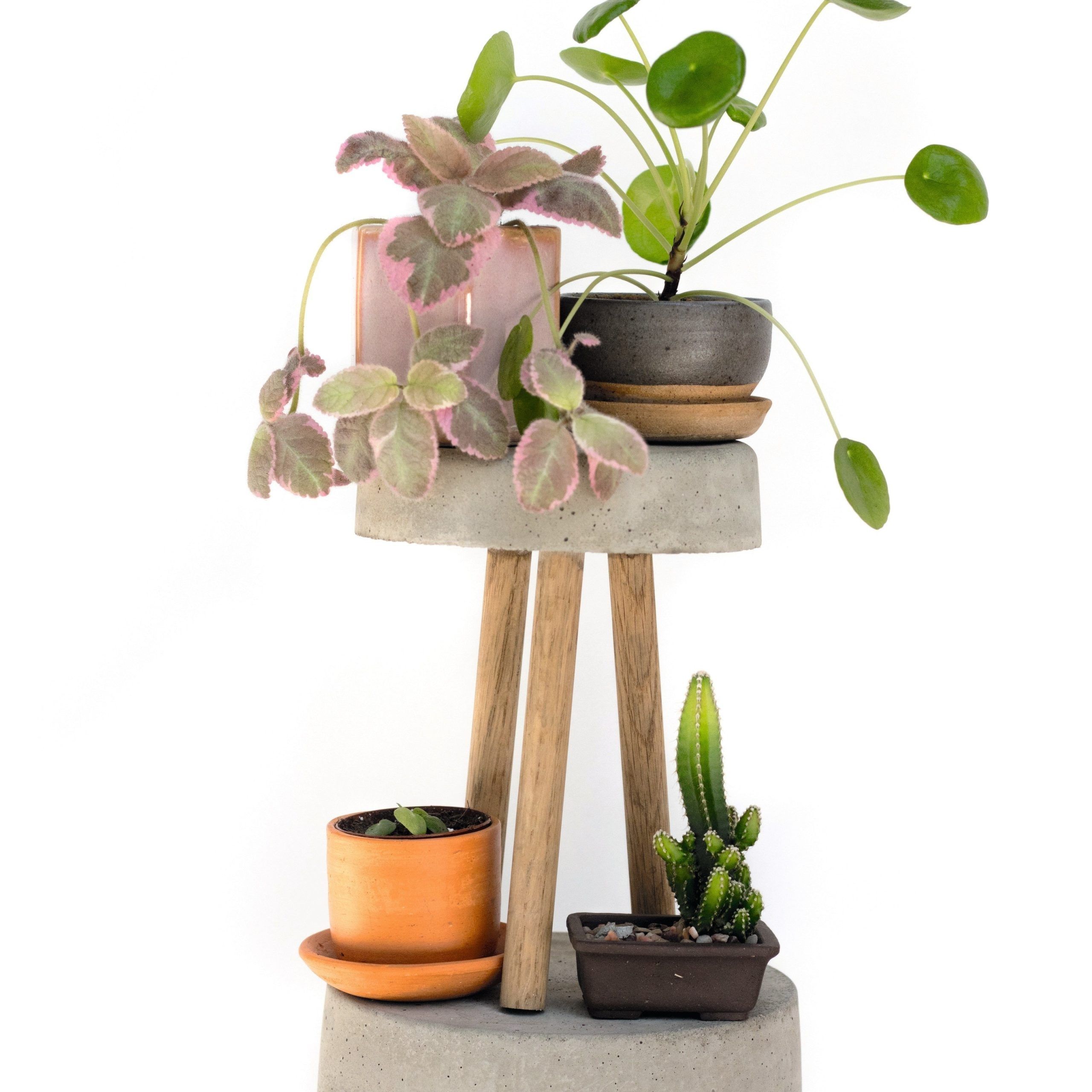 Cement Plant Stands Pertaining To Trendy Plant Stands · Extract From How To Raise A Plantmorgan Doane · How To  Make A Concrete Planter (View 9 of 10)
