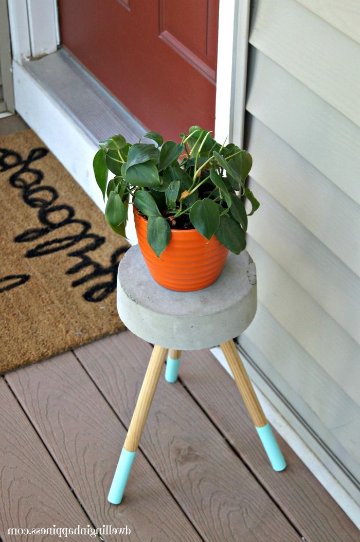 Cement Plant Stands Within Most Current $5 Diy Concrete Plant Stand – Dwelling In Happiness (View 6 of 10)
