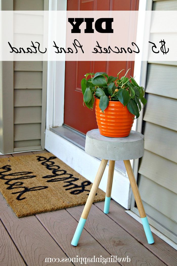 Cement Plant Stands Within Popular $5 Diy Concrete Plant Stand – Dwelling In Happiness (Photo 1 of 10)