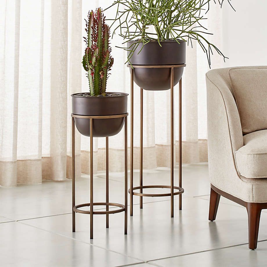 Crate & Barrel Pertaining To Medium Plant Stands (View 10 of 10)