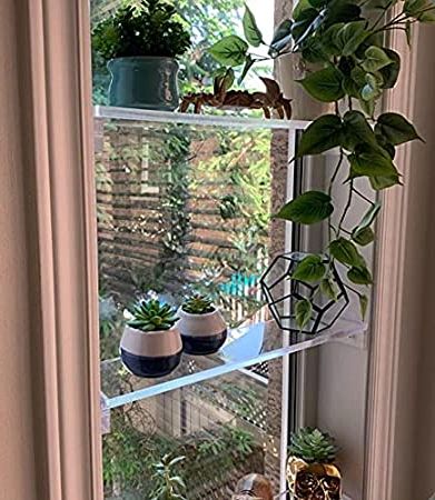 Crystal Clear Plant Stands With Regard To 2018 Elegant And Sophisticated Floating Window Shelf (24", Double Shelf) – Crystal  Clear Recessed Durable Strong Acrylic Trinket, Plants, Succulents Indoor  Collection Display Stand Trendy Modern Boho Chic : Amazon (View 5 of 10)