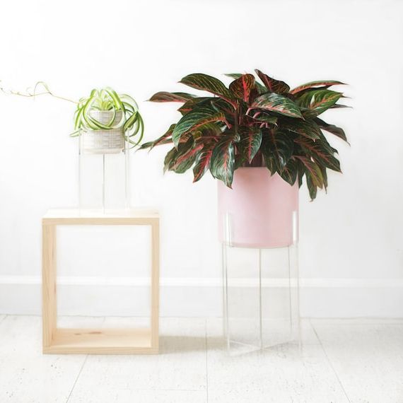 Current Clear Plant Stands In Plexiglass Clear Plant Stand Acrylic Floating Indoor Plant – Etsy Uk (View 2 of 10)