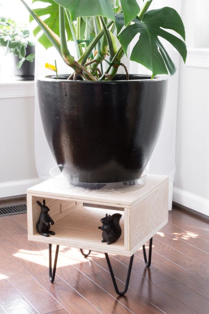 Diy Plant Stand: Make This Easy Project For Your Plants Inside Most Recent Plant Stands With Flower Bowl (View 9 of 10)