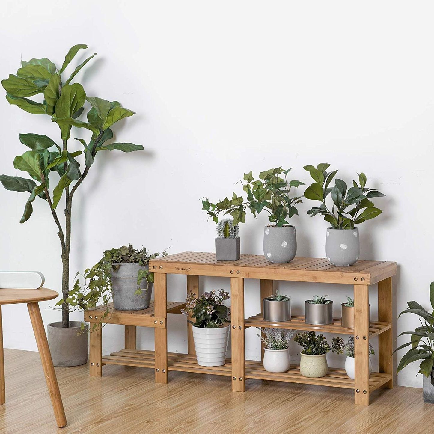 Famous Wide Plant Stands Inside 39 Best Plant Stands  (View 6 of 10)