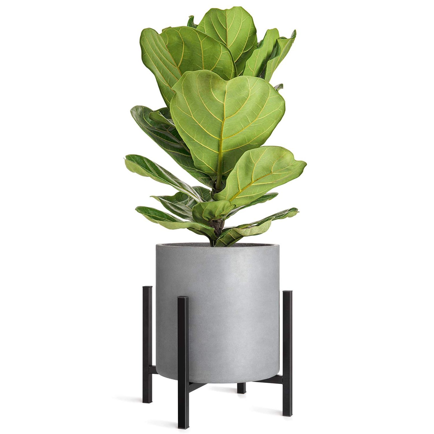 Fashionable 14 Inch Plant Stands With Mkono Plant Stand – Excluding Plant Pot, Mid Century Modern Tall Metal Pot  Stand Indoor Flower Potted (View 1 of 10)