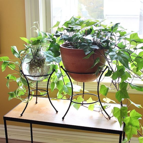 Fashionable Ball Plant Stands Pertaining To Set Of Two Ball End Wrought Iron Plant Stands Indoor/outdoor – Etsy (View 6 of 10)