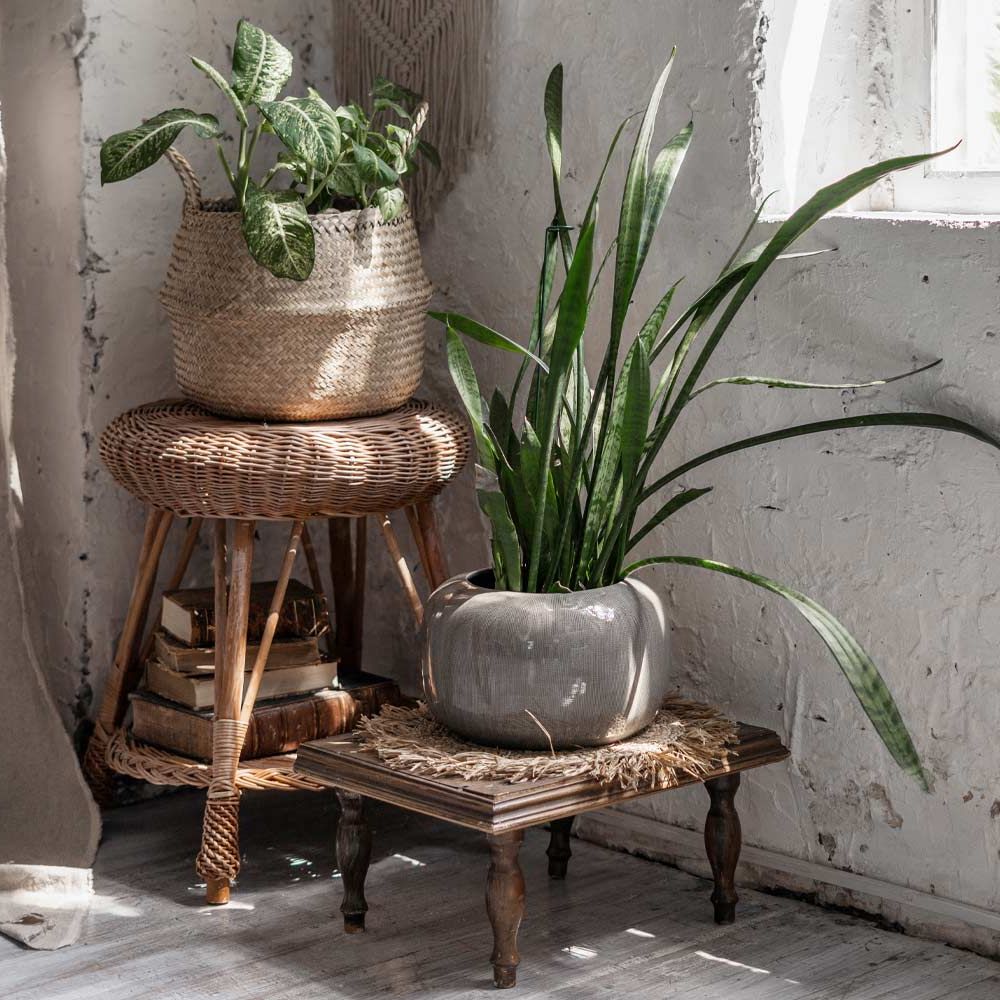 Favorite 31 Exclusive Plant Stand Ideas To Introduce Into Your Interior With Regard To Rustic Plant Stands (View 3 of 10)