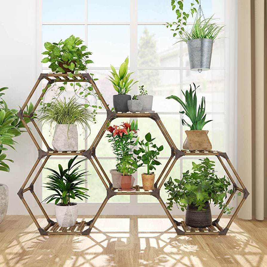 Favorite Allinside Hexagonal Plant Stand Indoor, Wood Outdoor Plant Shelf For Plants,  7 Potted Ladder Plant Holder Transformable Plant Pot Stand For Corner  Window Garden Balcony Living Room – 7 Tiers Intended For Hexagon Plant Stands (View 2 of 10)