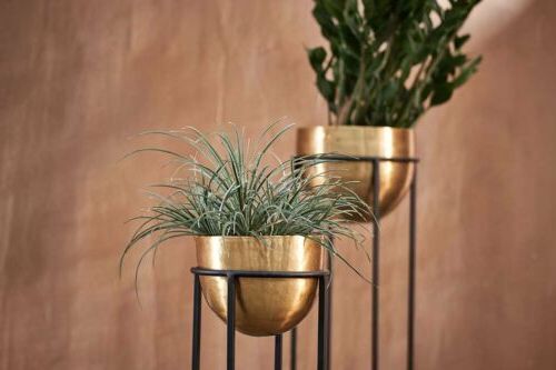 Favorite Antique Brass Gold Bowl Planter On Stand, Indoor Metal Plant Pot, Nkuku  Atsu (View 10 of 10)