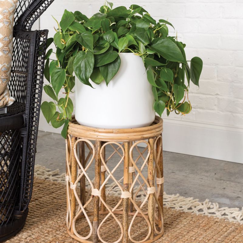 Get Bohemien Short Plant Stand, 15 Inches Tall In Mi At English Gardens  Nurseries (View 9 of 10)