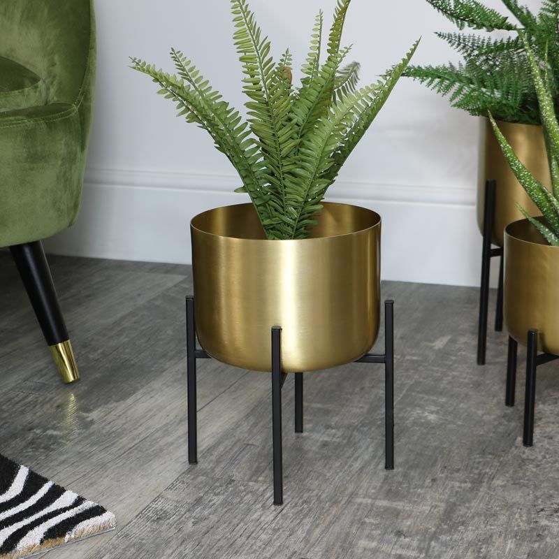 Gold Plant Stands Pertaining To Most Up To Date Round Gold Plant Stand – Medium (View 8 of 10)