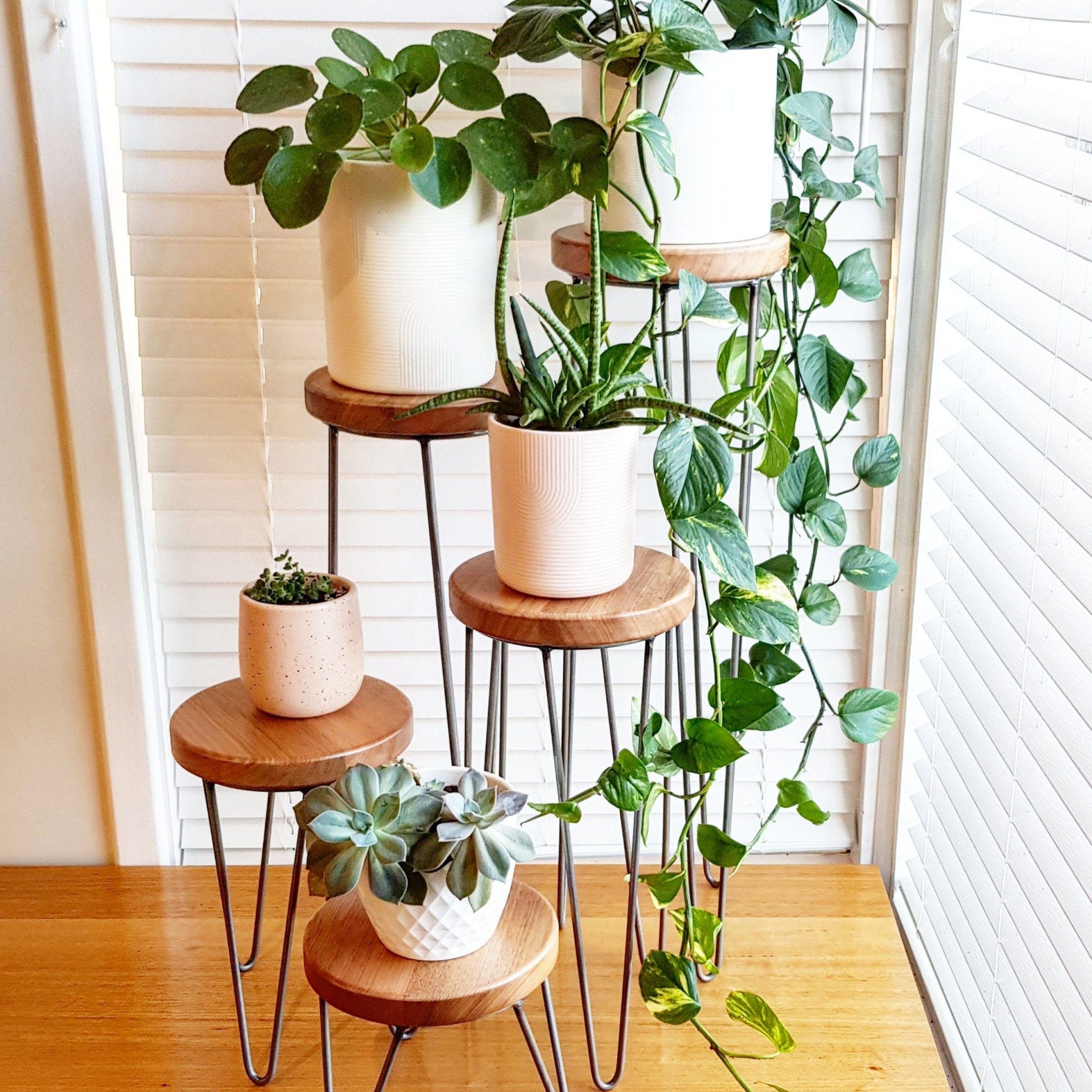 Harper Hairpin Leg Plant Stand Metal Plant Stand Plant – Etsy Intended For Most Recently Released Plant Stands With Table (View 6 of 10)