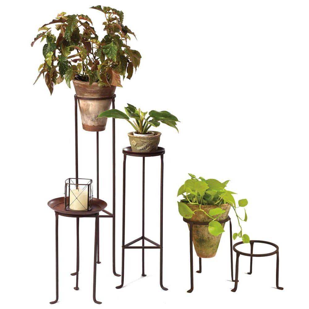 Iron Plant Stands – 8" Diameter – Campo De' Fiori – Naturally Mossed Terra  Cotta Planters, Carved Stone, Forged Iron, Cast Bronze, Distinctive  Lighting, Zinc And More For Your Home And Garden (View 2 of 10)