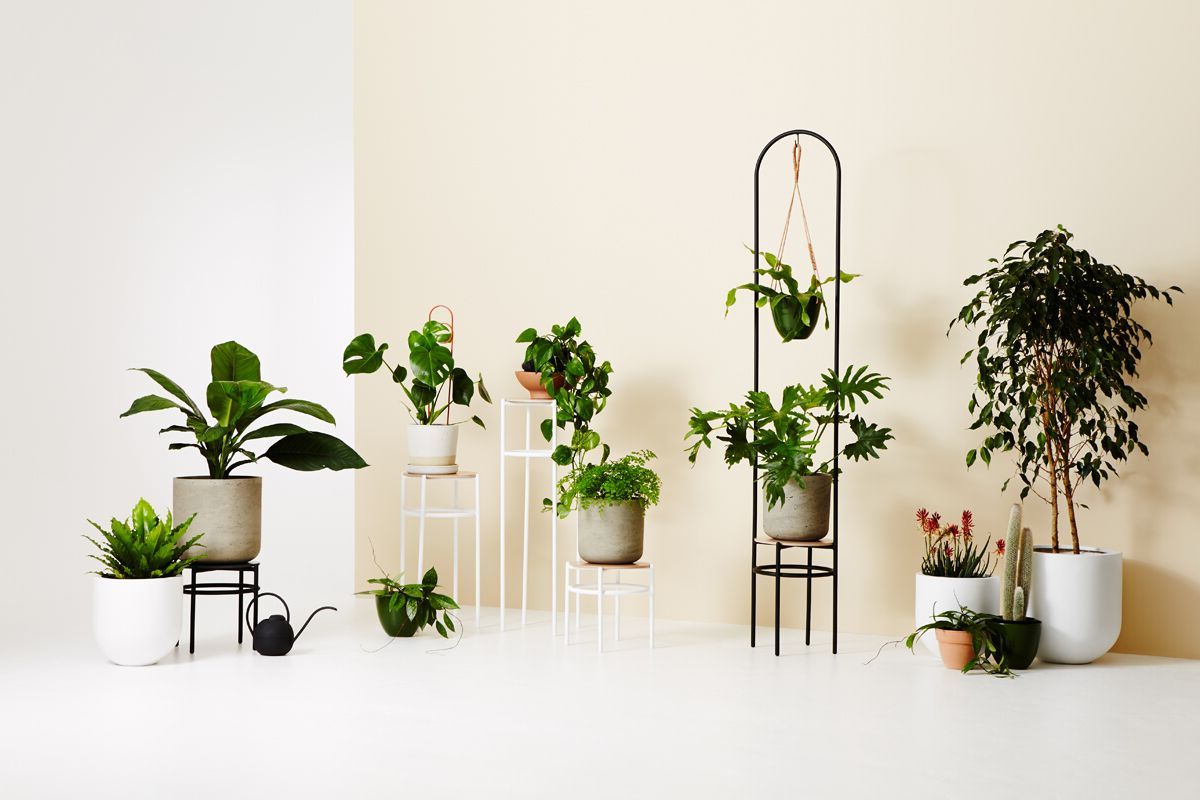 Ivory Plant Stands For Latest 3d Printed Vases + Concrete Plant Stands: Ivy Muse's New Range – The  Interiors Addict (View 7 of 10)