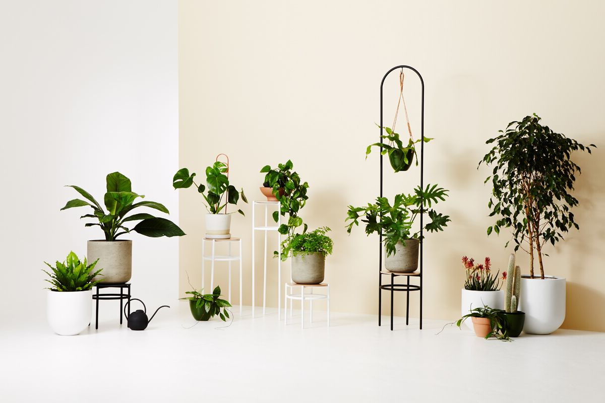 Ivory Plant Stands For Latest 3d Printed Vases + Concrete Plant Stands: Ivy Muse's New Range – The  Interiors Addict (Photo 7 of 10)