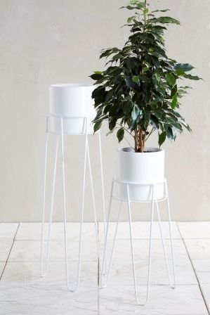 Latest Next Set Of 2 White Plant Stands – White (View 2 of 10)