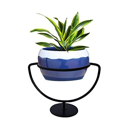 Latest Plant Stands With Flower Bowl For Trustbasket Trophy Plant Stand With Ceramic Like Metal Bowl (blue) –  Premium Strong Durable Flower Pot Stand With Container For Home, Balcony,  Indoor, Living Room Decor, Office Use : Amazon (View 5 of 10)